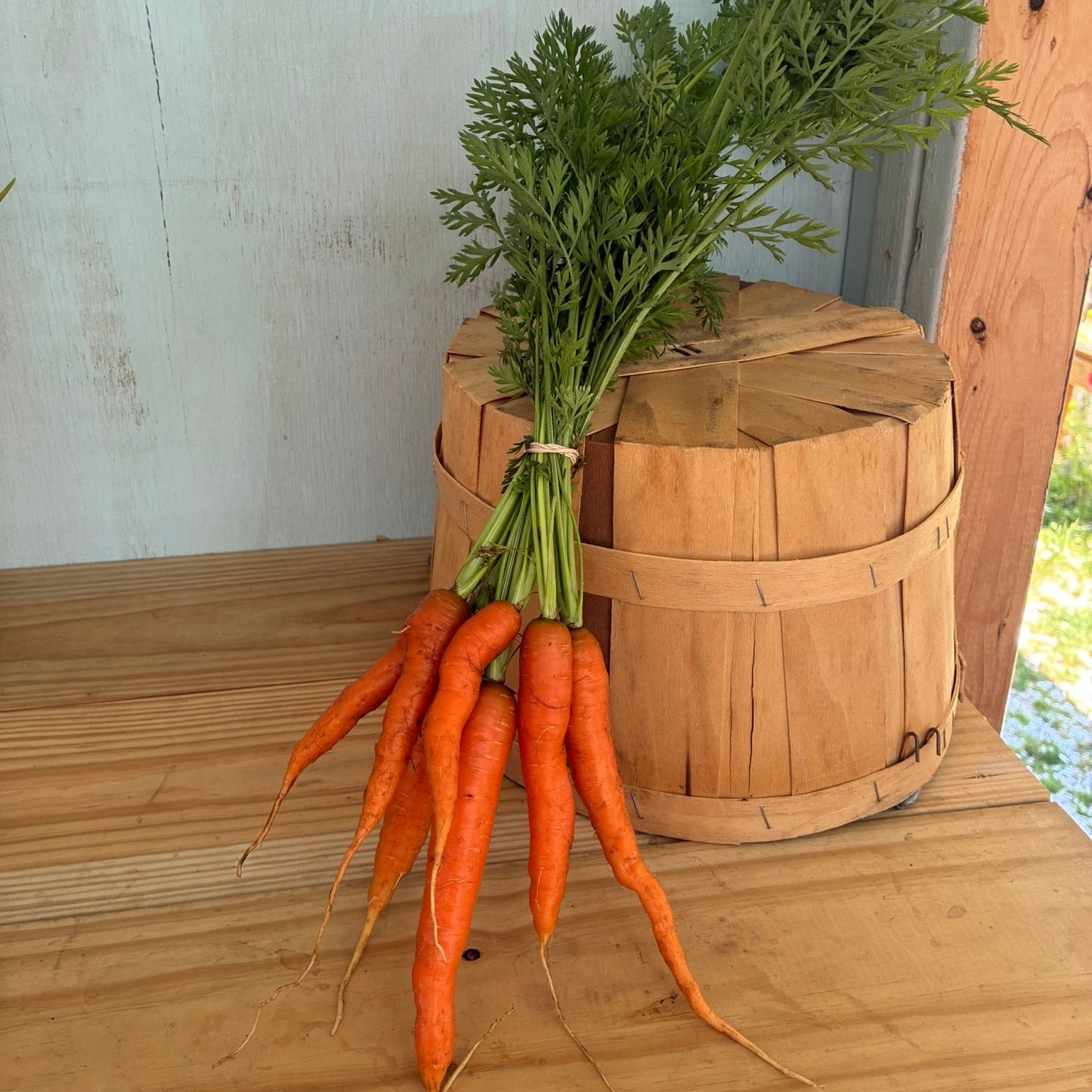 Carrots, Fresh, Bunch