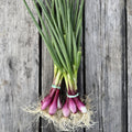 Spring Onions