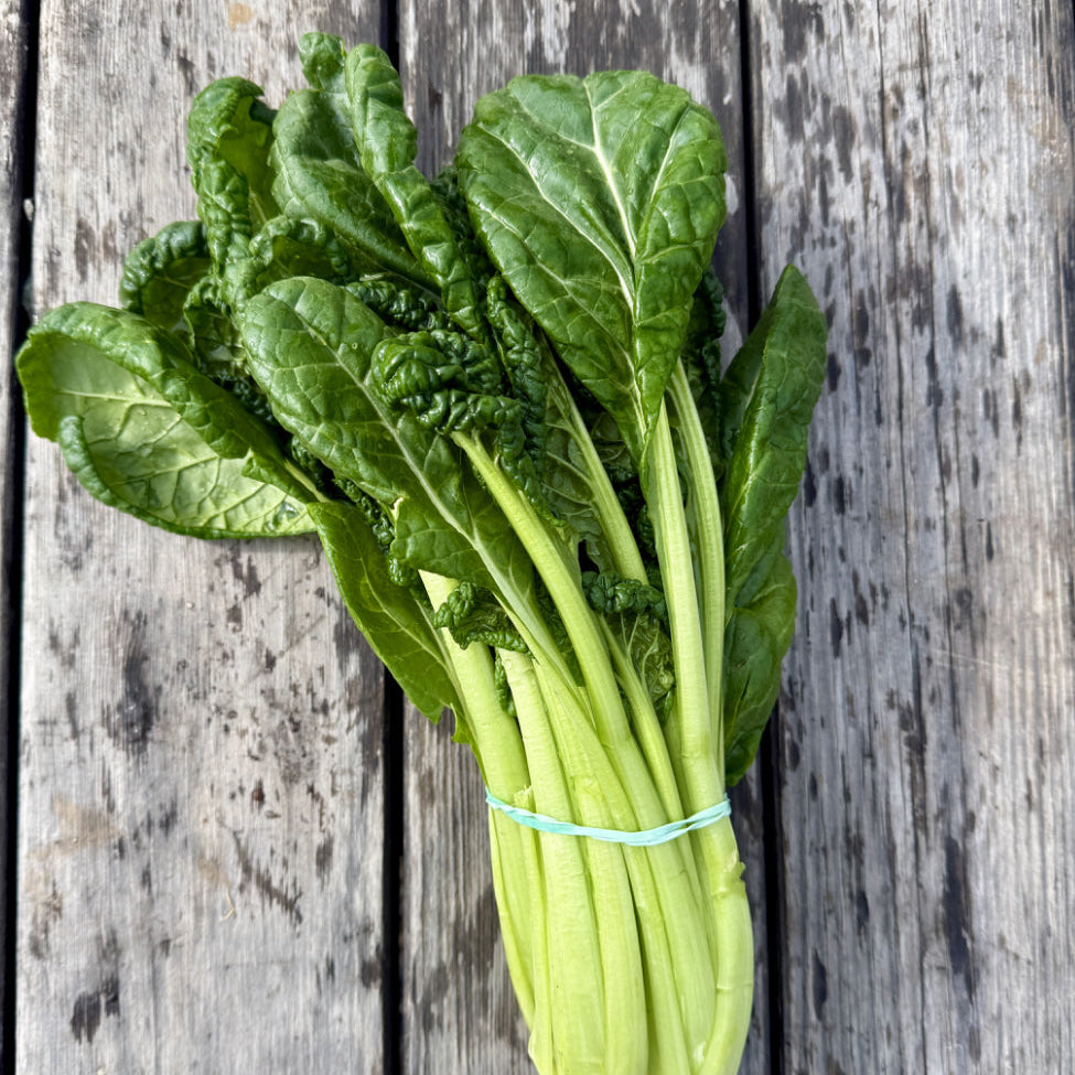 Tatsoi