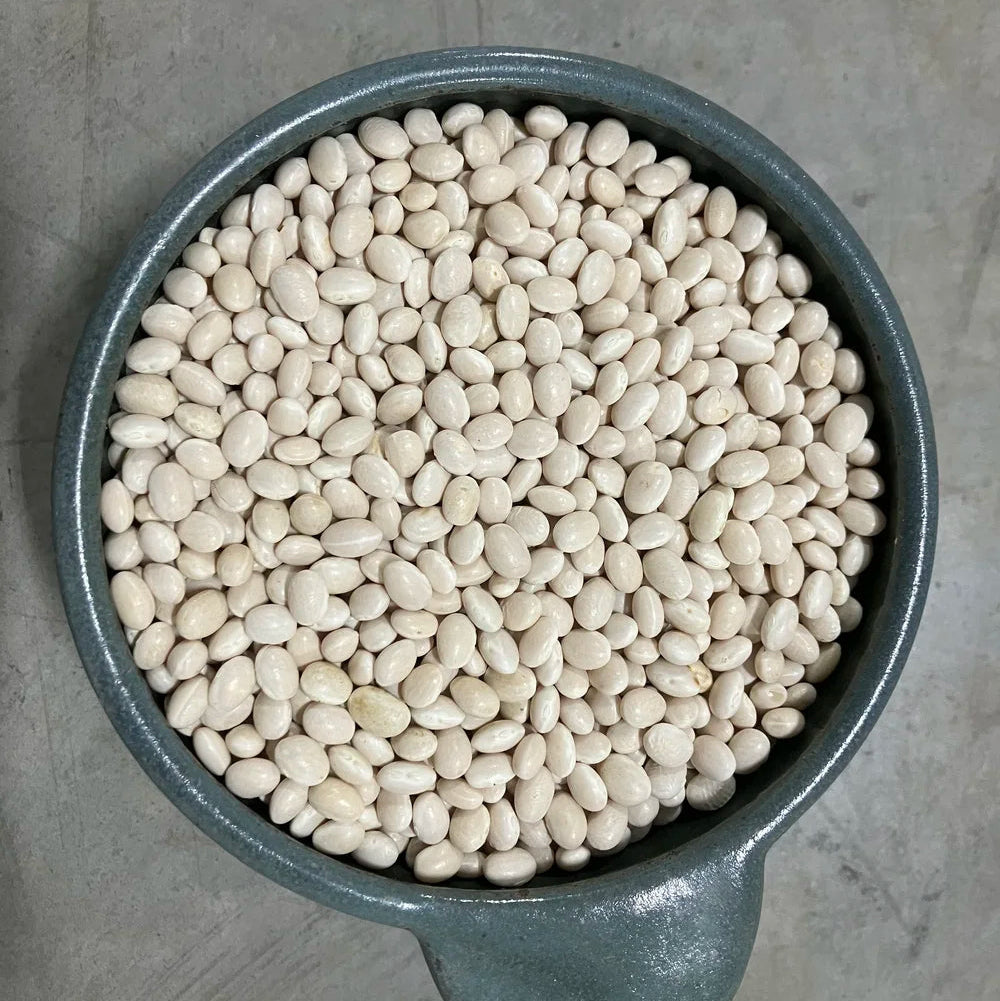 Dried Navy Beans