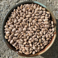 Dried Pinto Beans