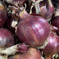 Red Onions
