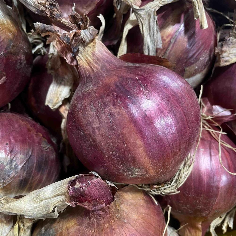 Red Onions