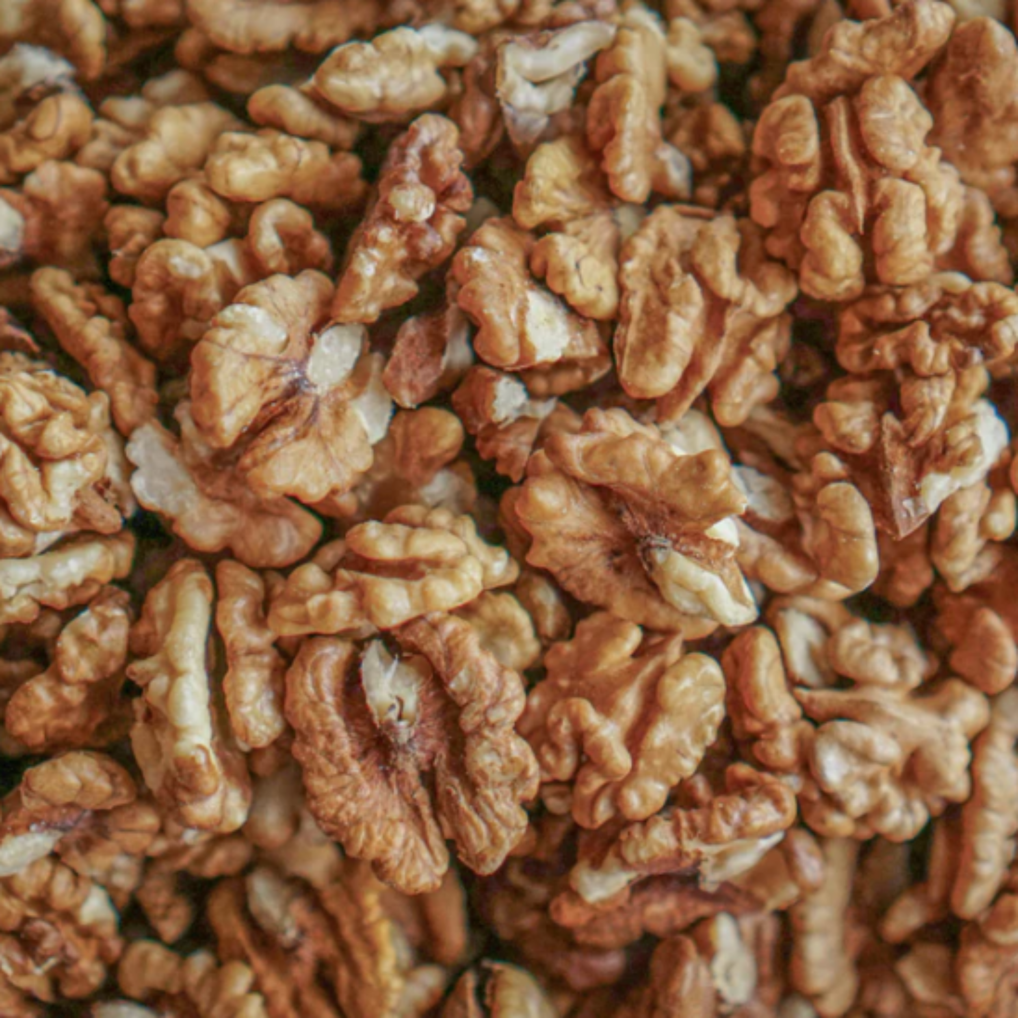 Raw Walnuts -Organic