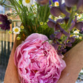 Bouquet of flowers with a pink rose held by a hand.