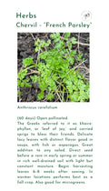 Seeds, Local, Chervil