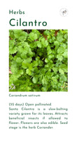 Seeds, Local, Cilantro