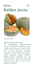 Seeds, Local, Golden Jenny