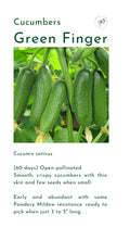 Seeds, Local, Green Finger Cucumber