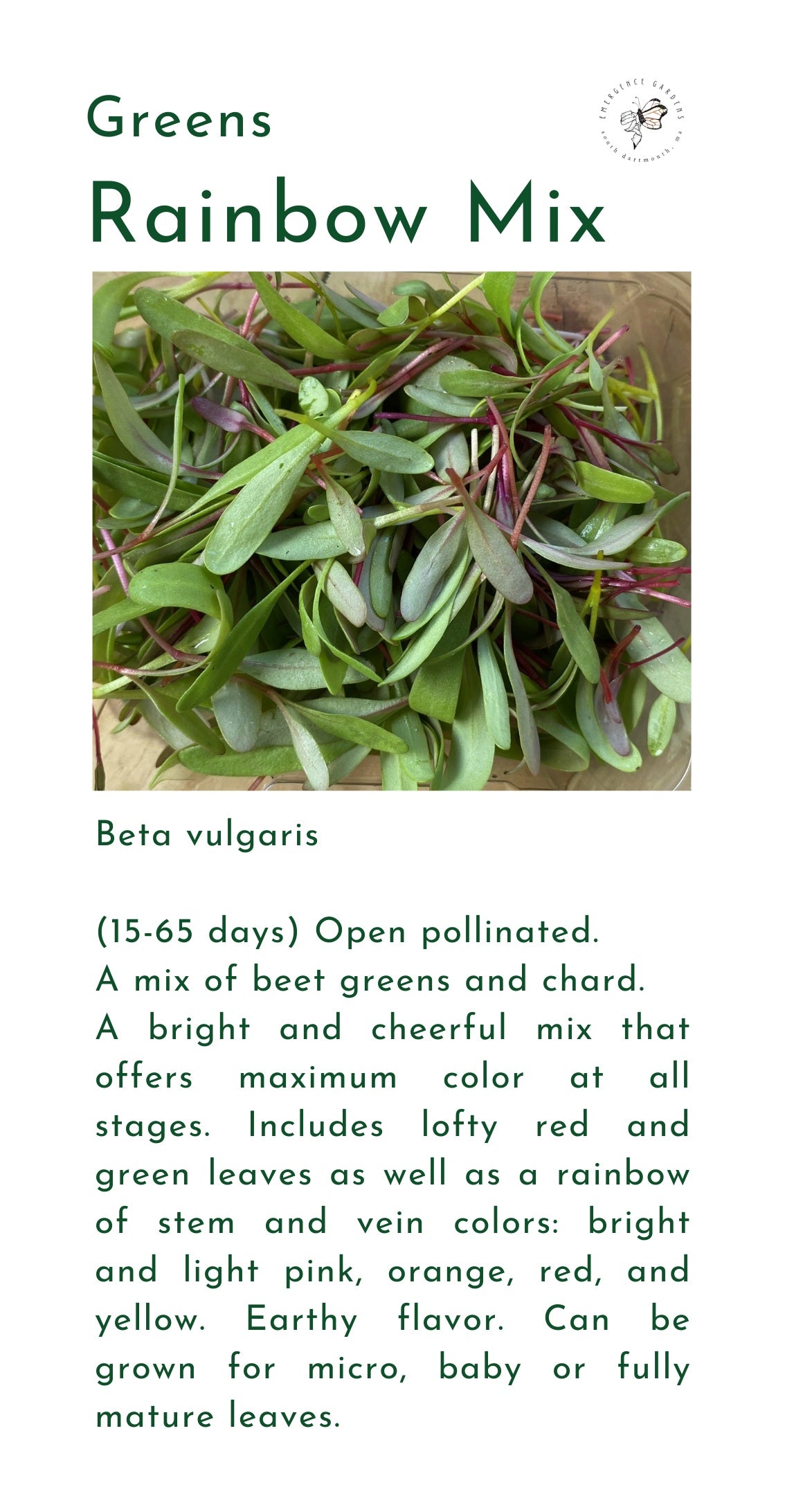 Seeds, Local, Rainbow Mix
