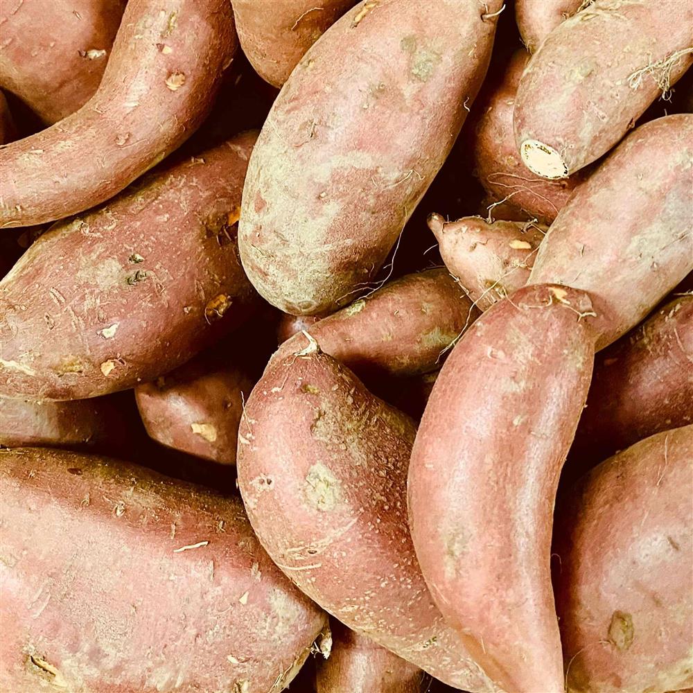 Local New Bedford Farm Sweet Potatoes