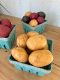 New Potatoes, Yellow