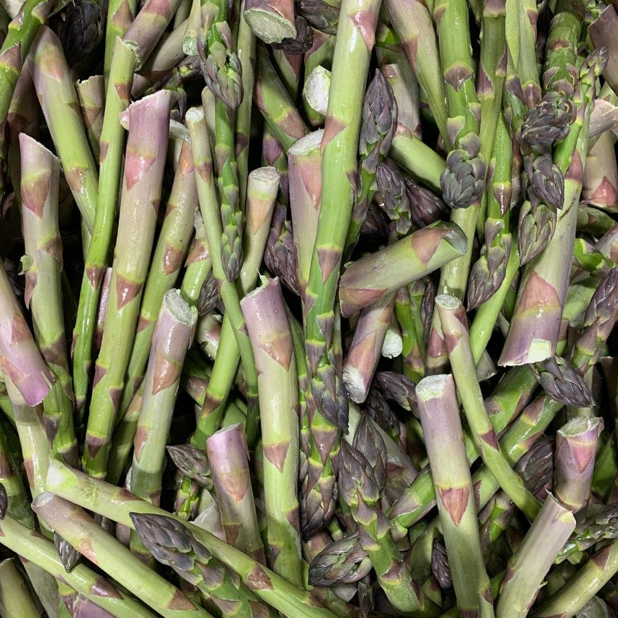 Close-up of green asparagus spears with some purple tips.