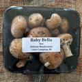 Baby Bella Mushrooms
