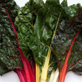 Swiss Chard