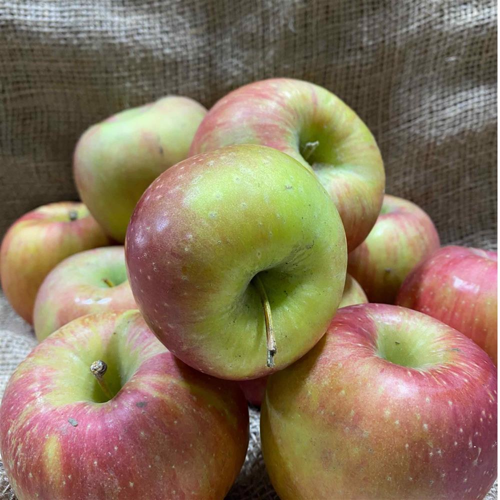Evercrisp Apples
