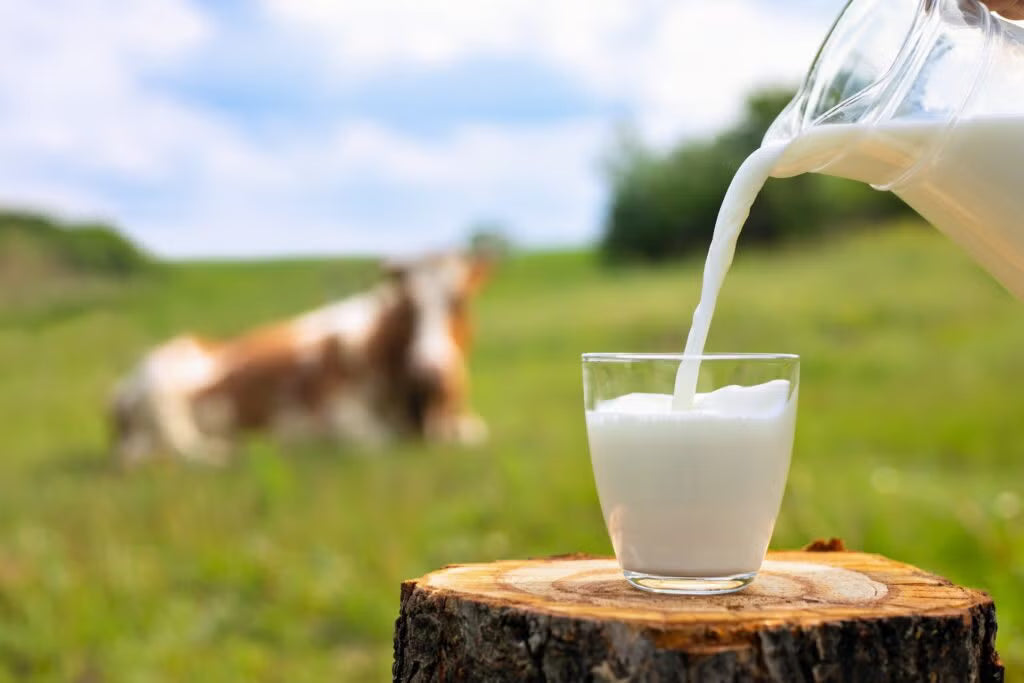 1% Milk