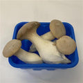 King Oyster Mushrooms