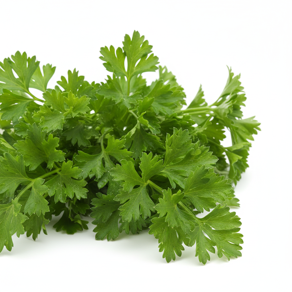 Parsley, Organic
