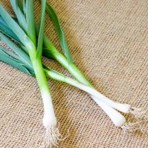 Spring Garlic